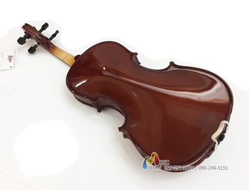 Hofner violin AS-045 ไวโอลิน ฮอฟเนอร์