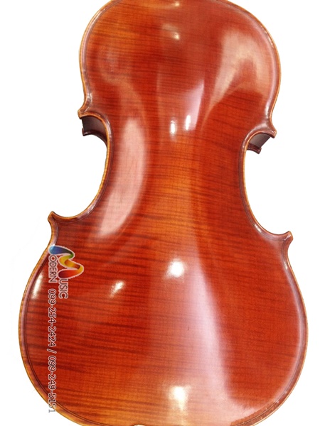 Hofner violin H-330 ไวโอลิน ฮอฟเนอร์ (Made in Germany)