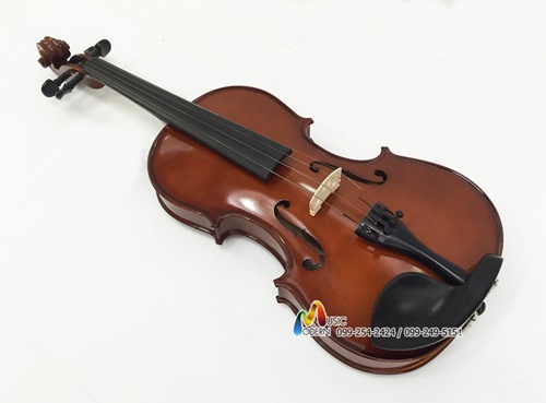 Hofner violin AS-060 ไวโอลิน ฮอฟเนอร์