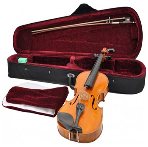 Hofner violin AS-160 ไวโอลิน ฮอฟเนอร์