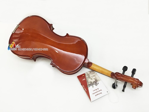 Hofner violin AS-160 ไวโอลิน ฮอฟเนอร์