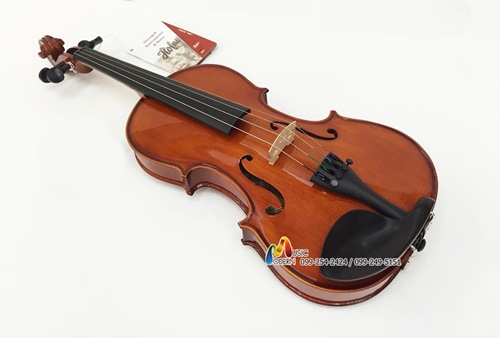 Hofner violin AS-160 ไวโอลิน ฮอฟเนอร์