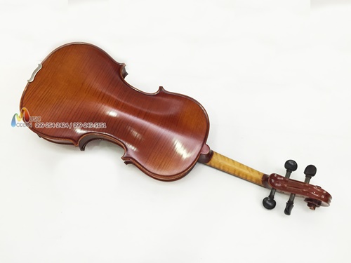 Hofner violin AS-360 ไวโอลิน ฮอฟเนอร์