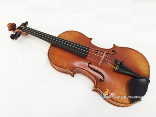 Hofner violin H-115 ไวโอลิน ฮอฟเนอร์ (Made in Germany)