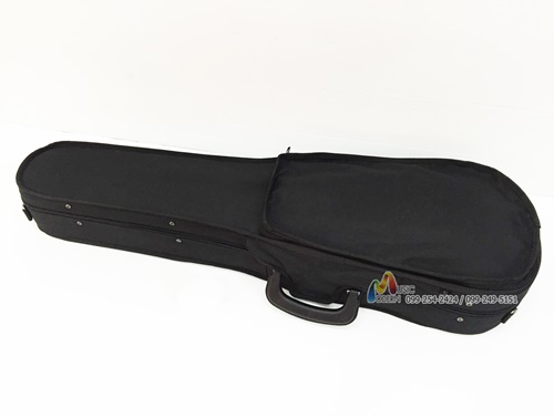 Hofner violin case