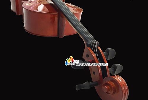 Jacobson Cello MC-760 L เชลโล จาคอบสัน ขนาด 1/2